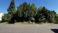 Blick von der Straße